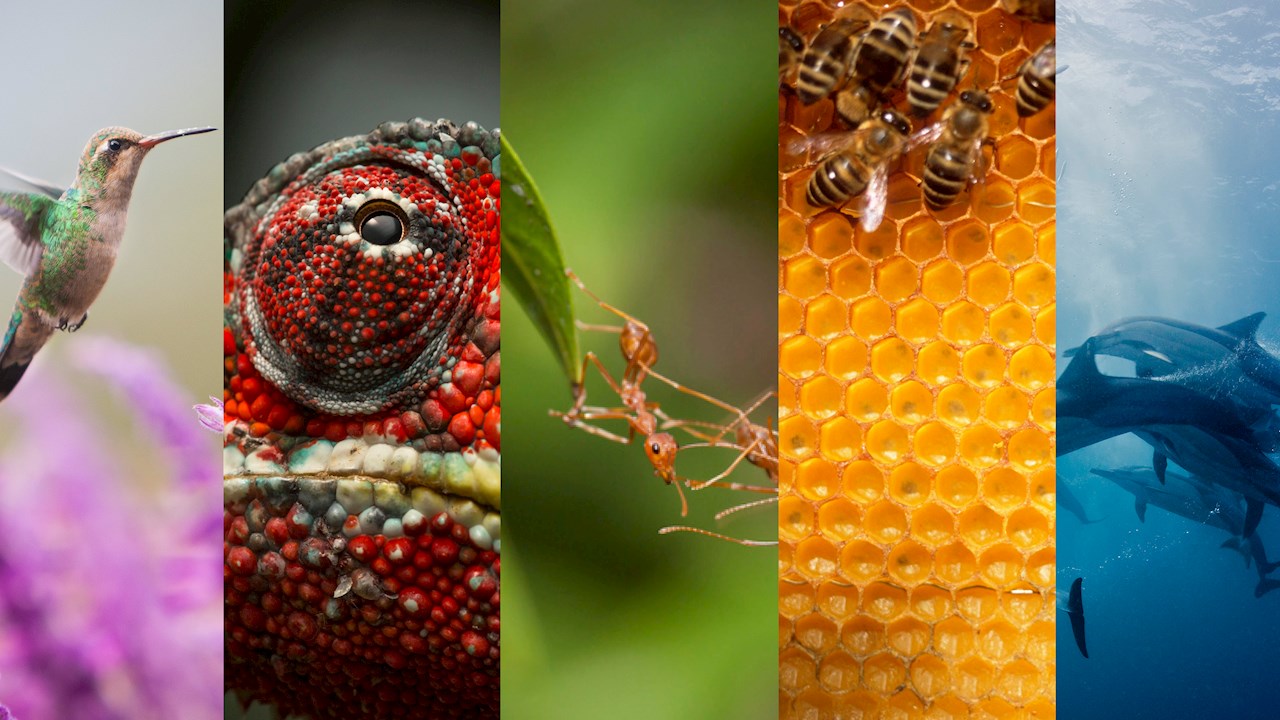 ABB 通過 ABB Adaptive Execution? 產(chǎn)品降低成本并增加資本項(xiàng)目的價(jià)值