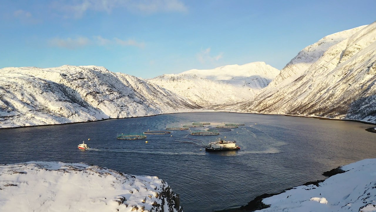 ABB 和微軟通過(guò)人工智能以負(fù)責(zé)任和可持續(xù)的方式養(yǎng)活世界